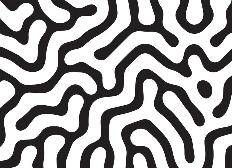 Image MORPHOGENESIS
