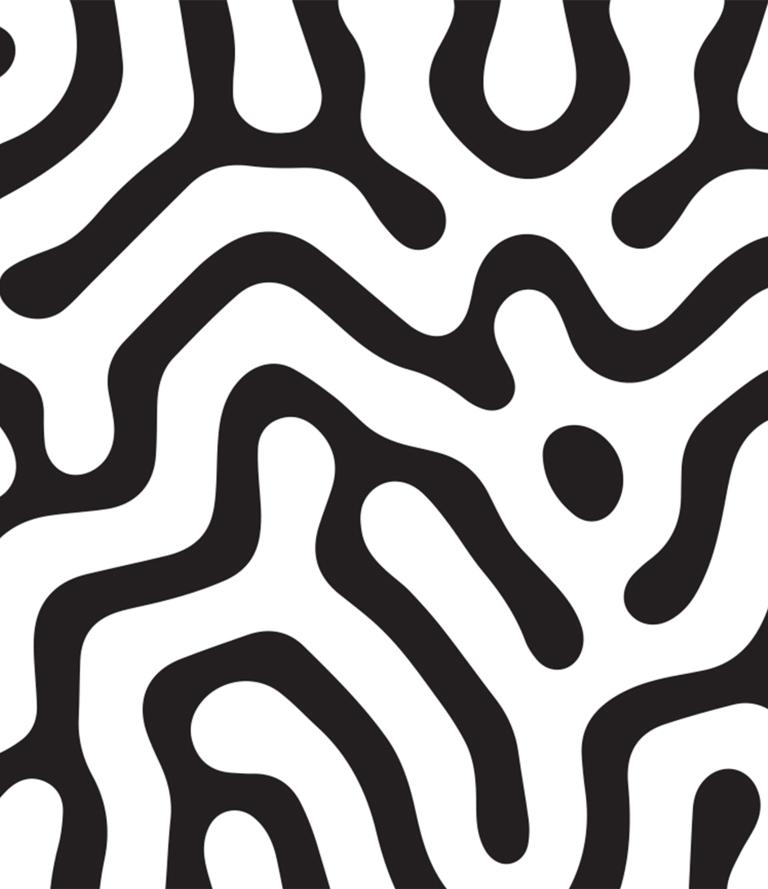 Image MORPHOGENESIS